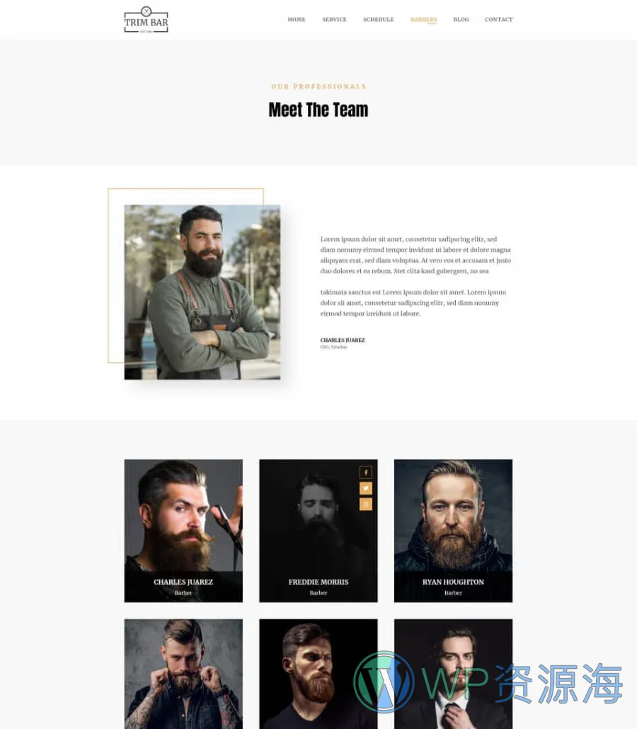 理发店Elementor网站模板_一键导入快速建站插图7-WP资源海 Trim Bar Barber Page