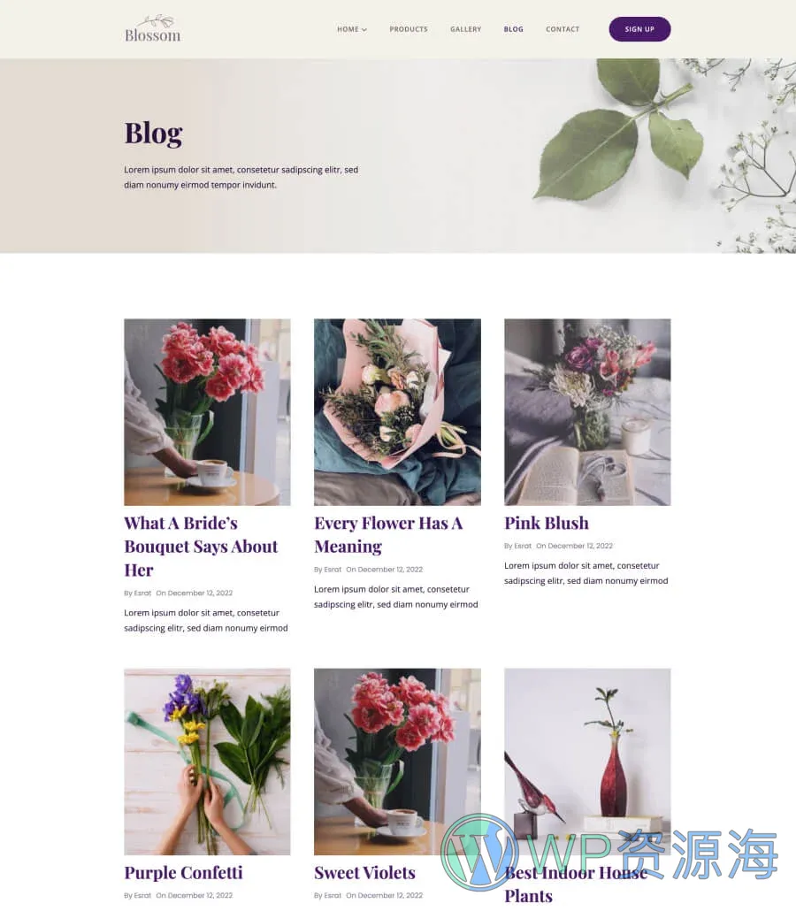 花店Gutenberg网站模板_一键导入快速建站插图4-WP资源海 Blossom Blog Page For Gutenberg