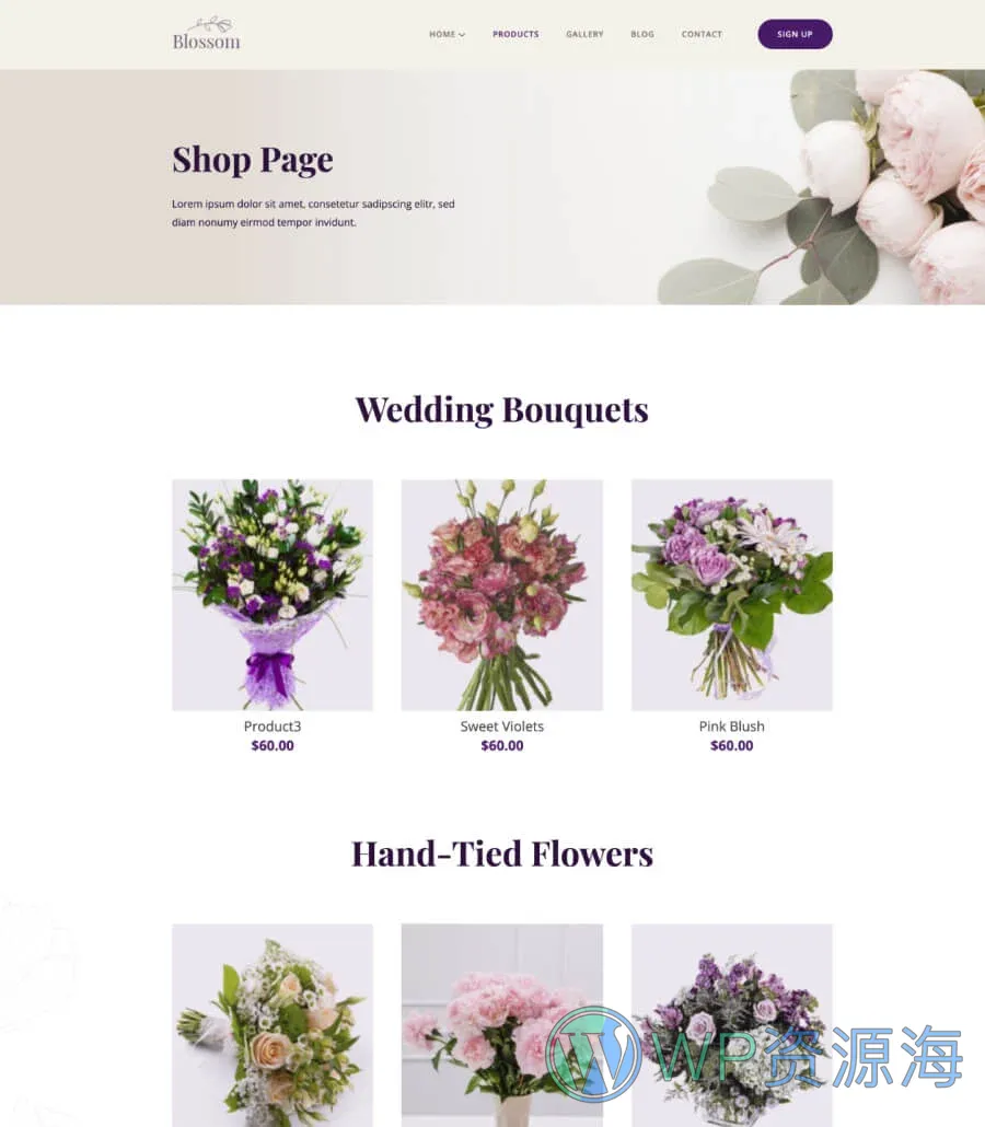 花店Gutenberg网站模板_一键导入快速建站插图6-WP资源海 Blossom Products Page Gutenberg