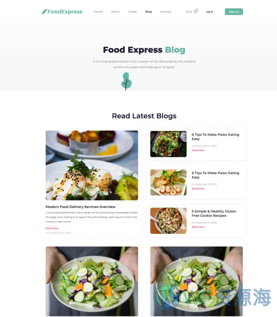 送餐Gutenberg网站模板_一键导入快速建站插图4-WP资源海 Food Express Blog Page For Gutenberg