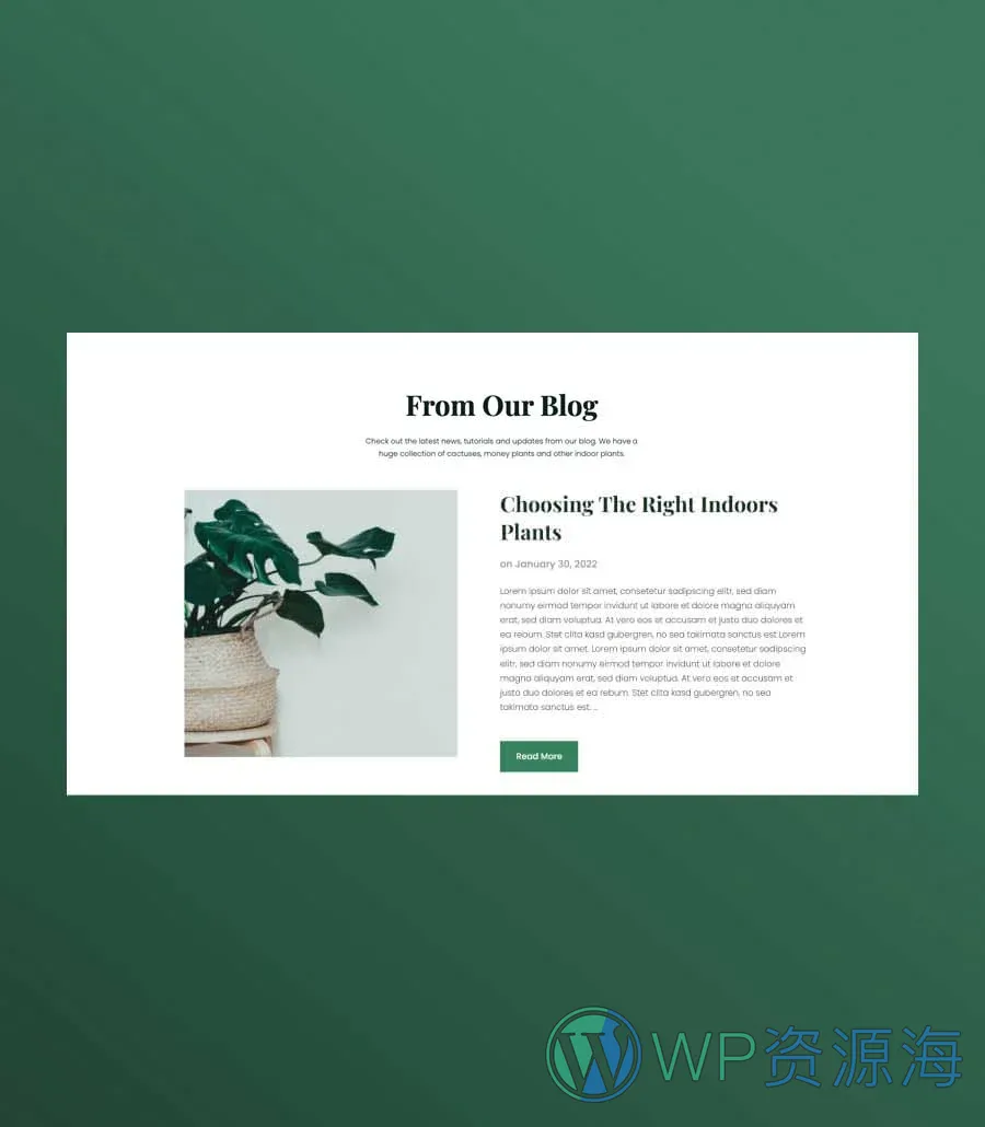植物商店Gutenberg网站模板_一键导入快速建站插图9-WP资源海 Greenzone Blog Section For Gutenberg