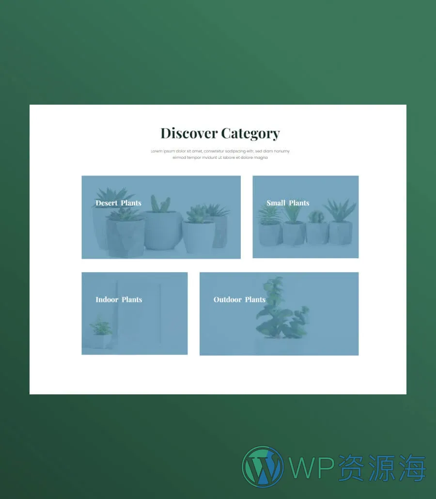 植物商店Gutenberg网站模板_一键导入快速建站插图12-WP资源海 Greenzone Discovery Section For Gutenberg
