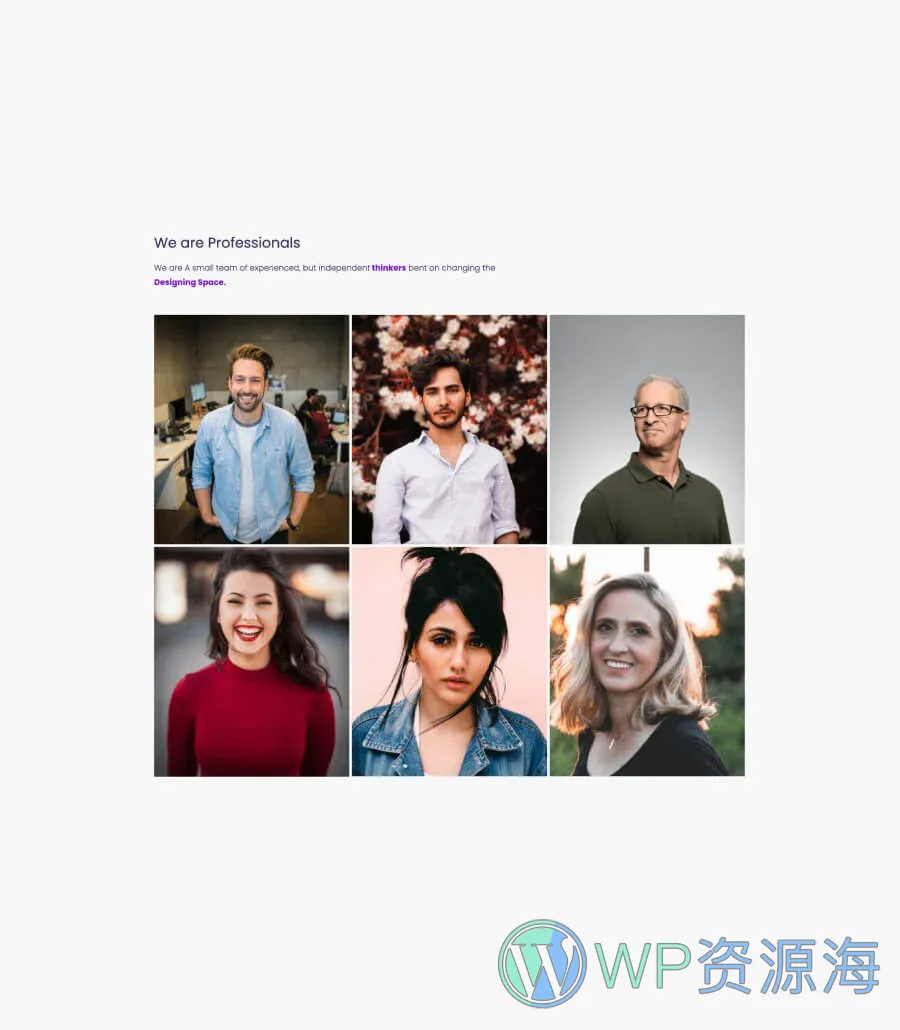 软件产品Gutenberg网站模板_一键导入快速建站插图10-WP资源海 SaaS Starter Team Members Section For Gutenberg
